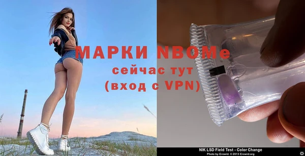 ПСИЛОЦИБИНОВЫЕ ГРИБЫ Алексин