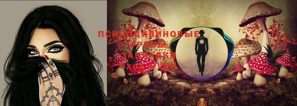 спайс Алзамай