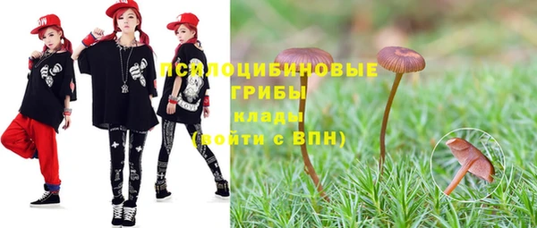 спайс Алзамай