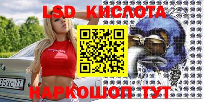 шишки Абакан