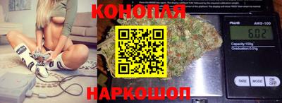шишки Абакан