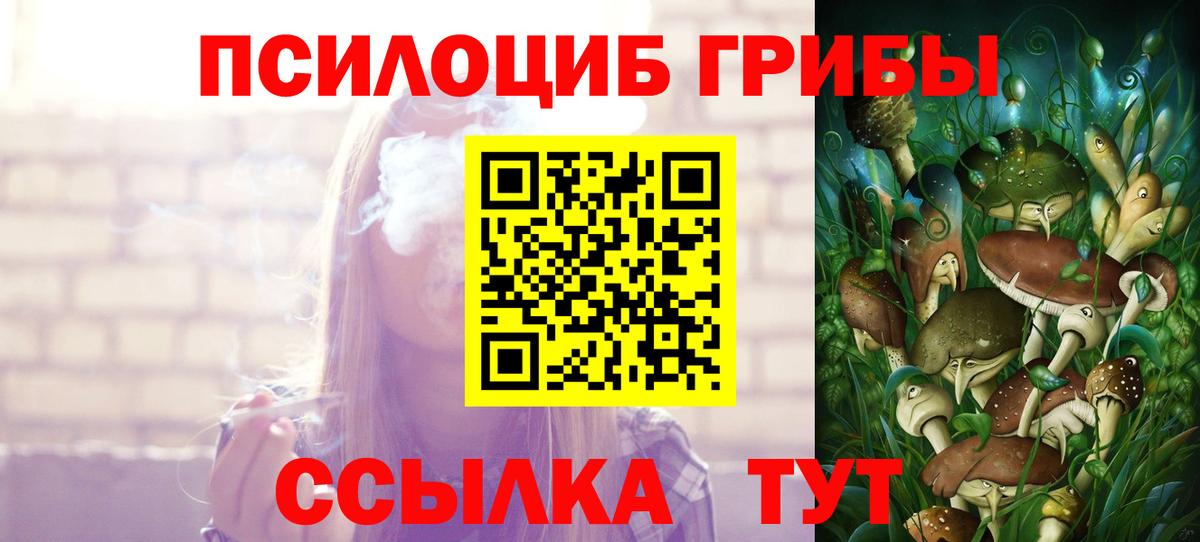 Галлюциногенные грибы Psilocybine cubensis  Вход с VPN  Апатиты 