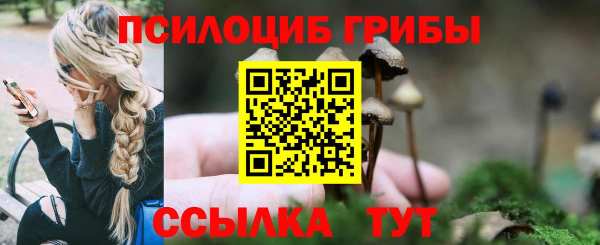 Галлюциногенные грибы Magic Shrooms Апатиты
